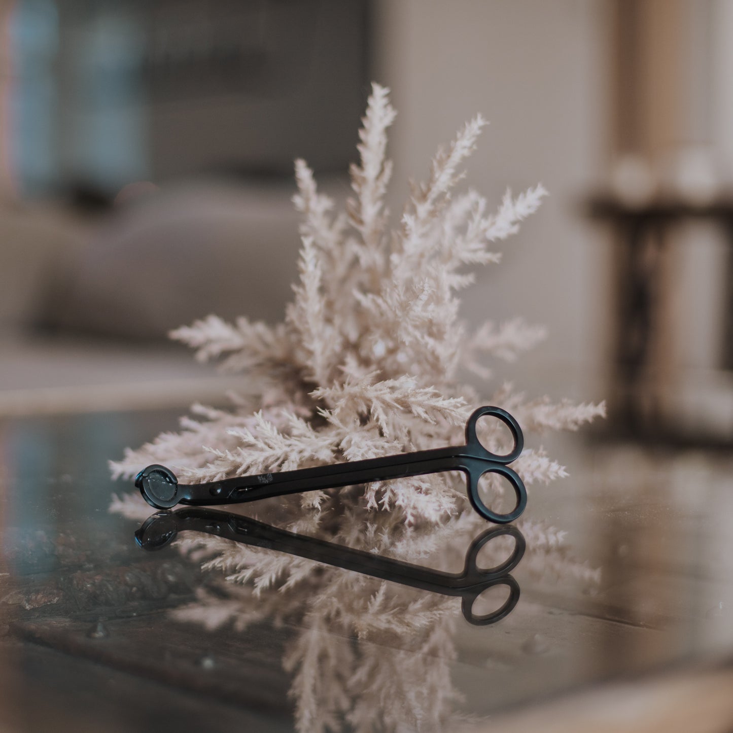 Wick Trimmer